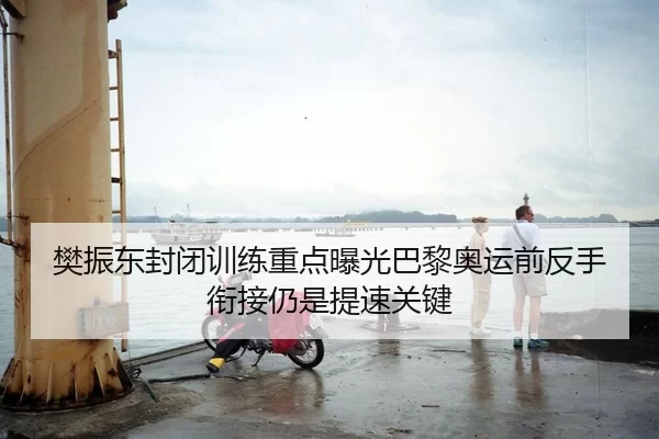 樊振东封闭训练重点曝光巴黎奥运前反手衔接仍是提速关键