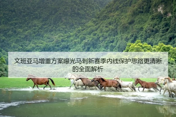 文班亚马增重方案曝光马刺新赛季内线保护思路更清晰的全面解析